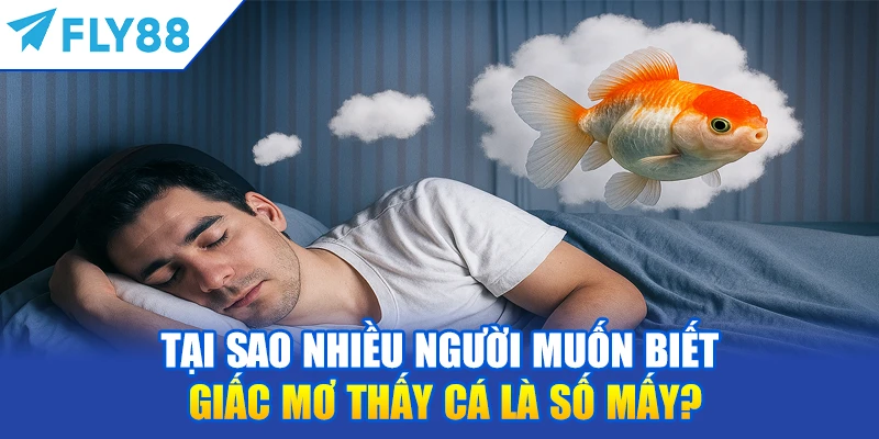 Tại Sao Nhiều Người Muốn Biết Giấc Mơ Thấy Cá Là Số Mấy?