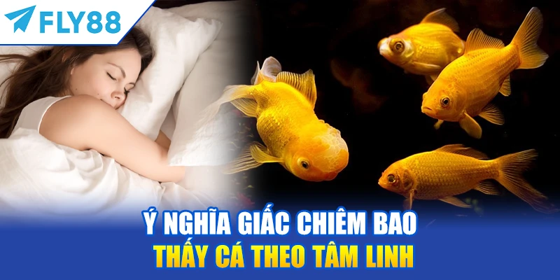 Ý Nghĩa Giấc Chiêm Bao Thấy Cá Theo Tâm Linh